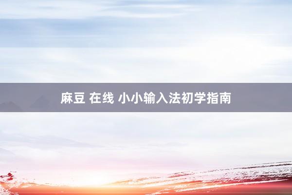 麻豆 在线 小小输入法初学指南