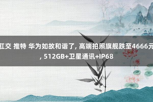 肛交 推特 华为如故和谐了， 高端拍照旗舰跌至4666元， 512GB+卫星通讯+IP68