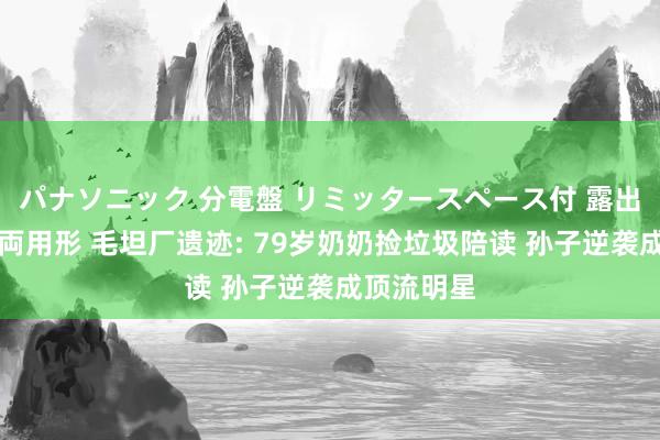 パナソニック 分電盤 リミッタースペース付 露出・半埋込両用形 毛坦厂遗迹: 79岁奶奶捡垃圾陪读 孙子逆袭成顶流明星