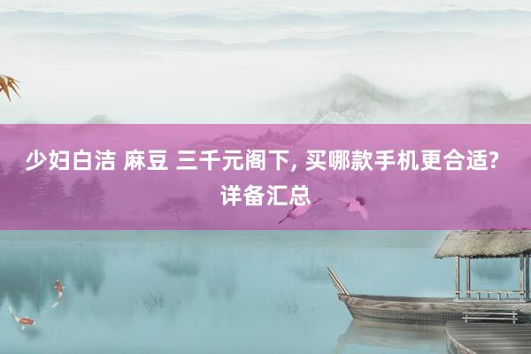 少妇白洁 麻豆 三千元阁下， 买哪款手机更合适? 详备汇总