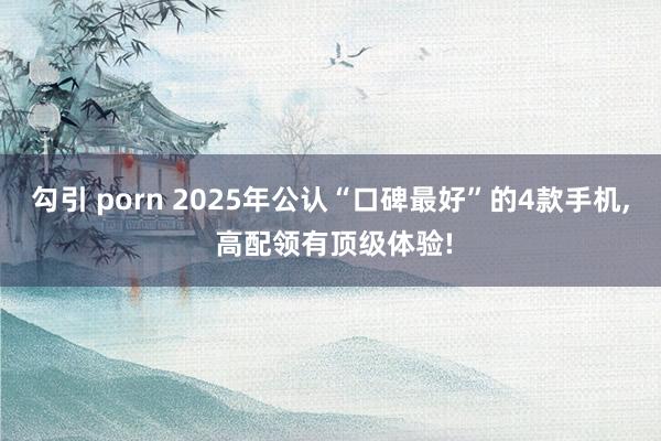 勾引 porn 2025年公认“口碑最好”的4款手机， 高配领有顶级体验!
