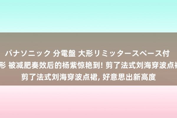 パナソニック 分電盤 大形リミッタースペース付 露出・半埋込両用形 被减肥奏效后的杨紫惊艳到! 剪了法式刘海穿波点裙， 好意思出新高度